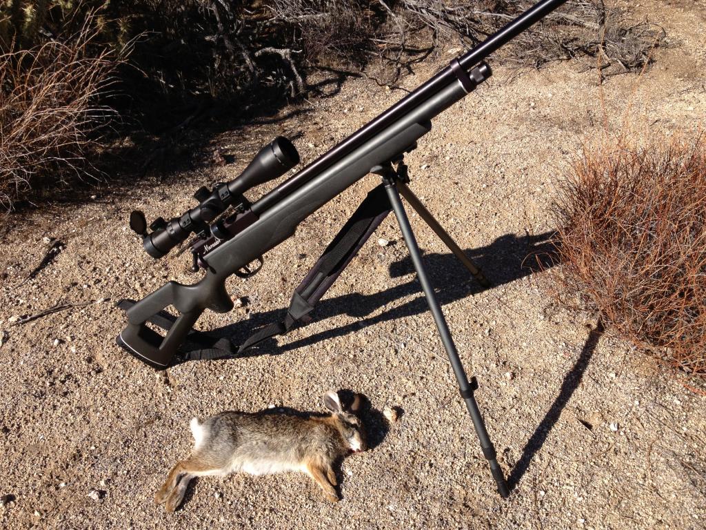 Is Airgun Hunting  Ethical The Outdoors Adventure Blog