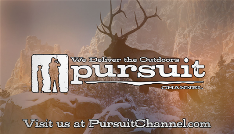 pursuit channel on roku