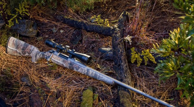 Hunting and Shooting – Learn the Basics