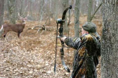 hunting regulations